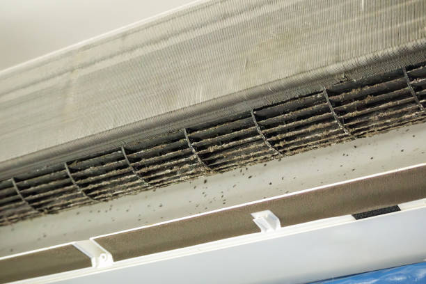 Best Residential Air Duct Cleaning  in Maltby, WA